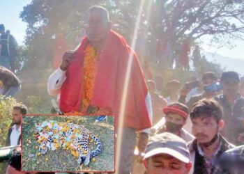 मरेको चितुवामाथि धामी काम्न थालेपछि