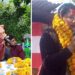 गुल्मी–२ मा एमालेको अग्रता