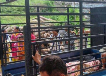 झापामा कनकाई घाटबाटै प्रहरीले शव उठायो