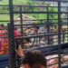 झापामा कनकाई घाटबाटै प्रहरीले शव उठायो