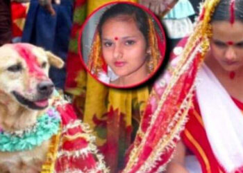 कस्तो अचम्म ! यी युवतीको धुमधामले कुकुरसँग विवाह ,कुकुरसँगै विवाह गर्नुको कारण यस्तो रहेछ (भिडियो हेर्नुस् )